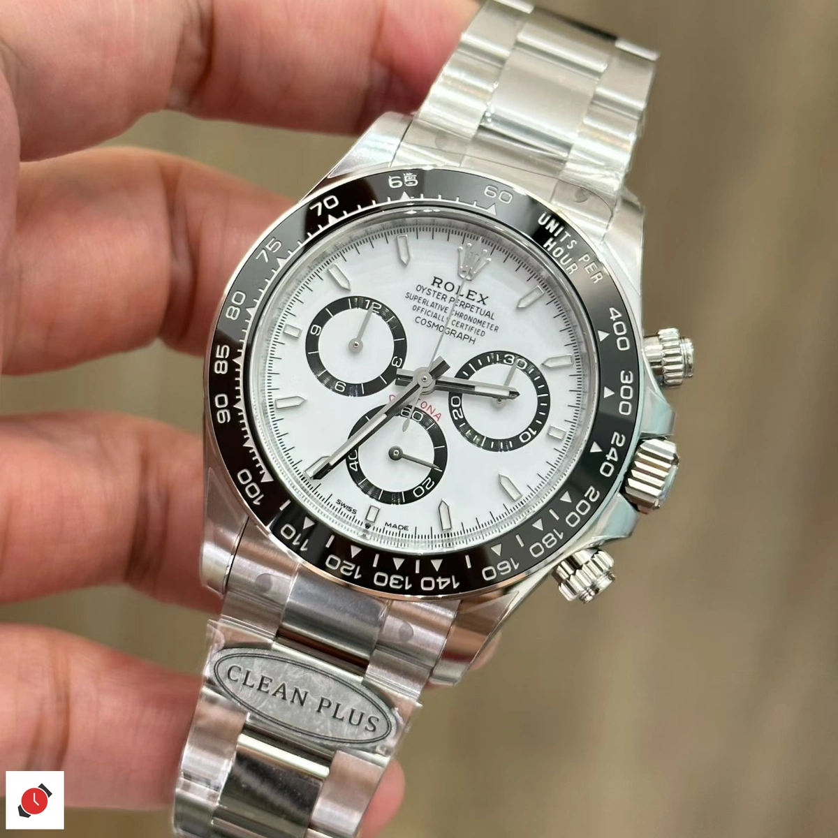 C廠 勞力士Rolex 迪通拿系列 熊貓迪
