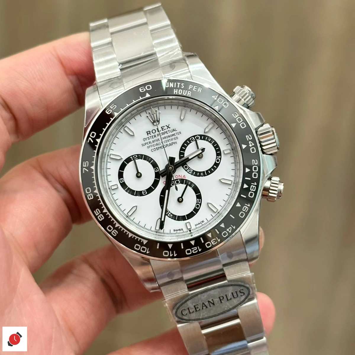 C廠 勞力士Rolex 迪通拿系列 熊貓迪
